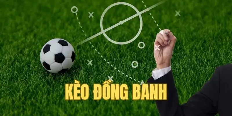 Chi tiết cách đọc kèo cược đồng banh dành cho bet thủ mới bắt đầu