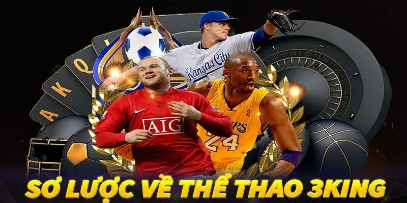 Khám phá tổng quan về sảnh Thể Thao 3king