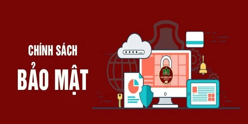 Sự phân quyền và lựa chọn của người dùng